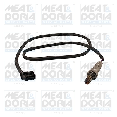 Oxygen Sensor